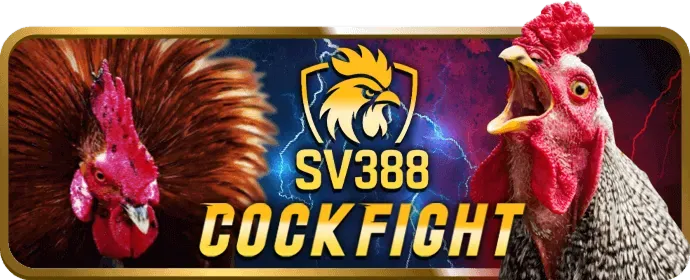 Người chơi đang xem các loại cược thể thao trên nền tảng 96win nhà cái