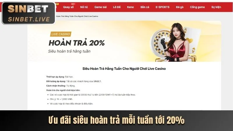 Chương trình hoàn trả cược hàng ngày